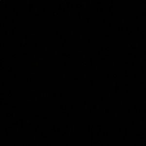 Meet your Posher, Dewane